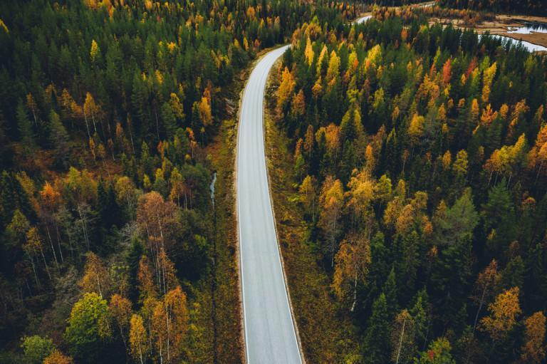 Aerial view of fall landscape, road in beautiful autumn forest in Finland